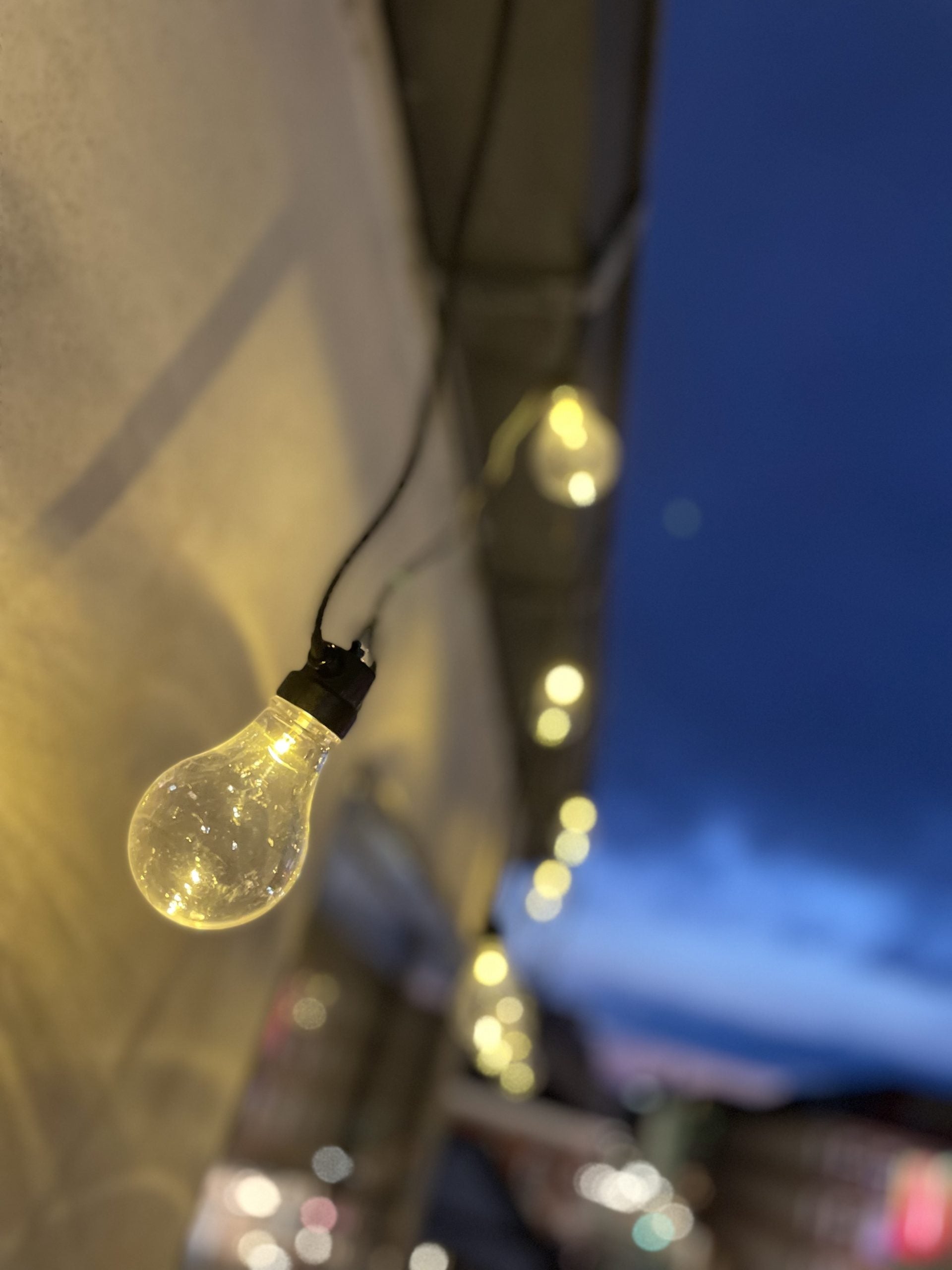 Julia LED light chain 10 clear bulbs 4.5 m extension kit – LED-nordic.com
