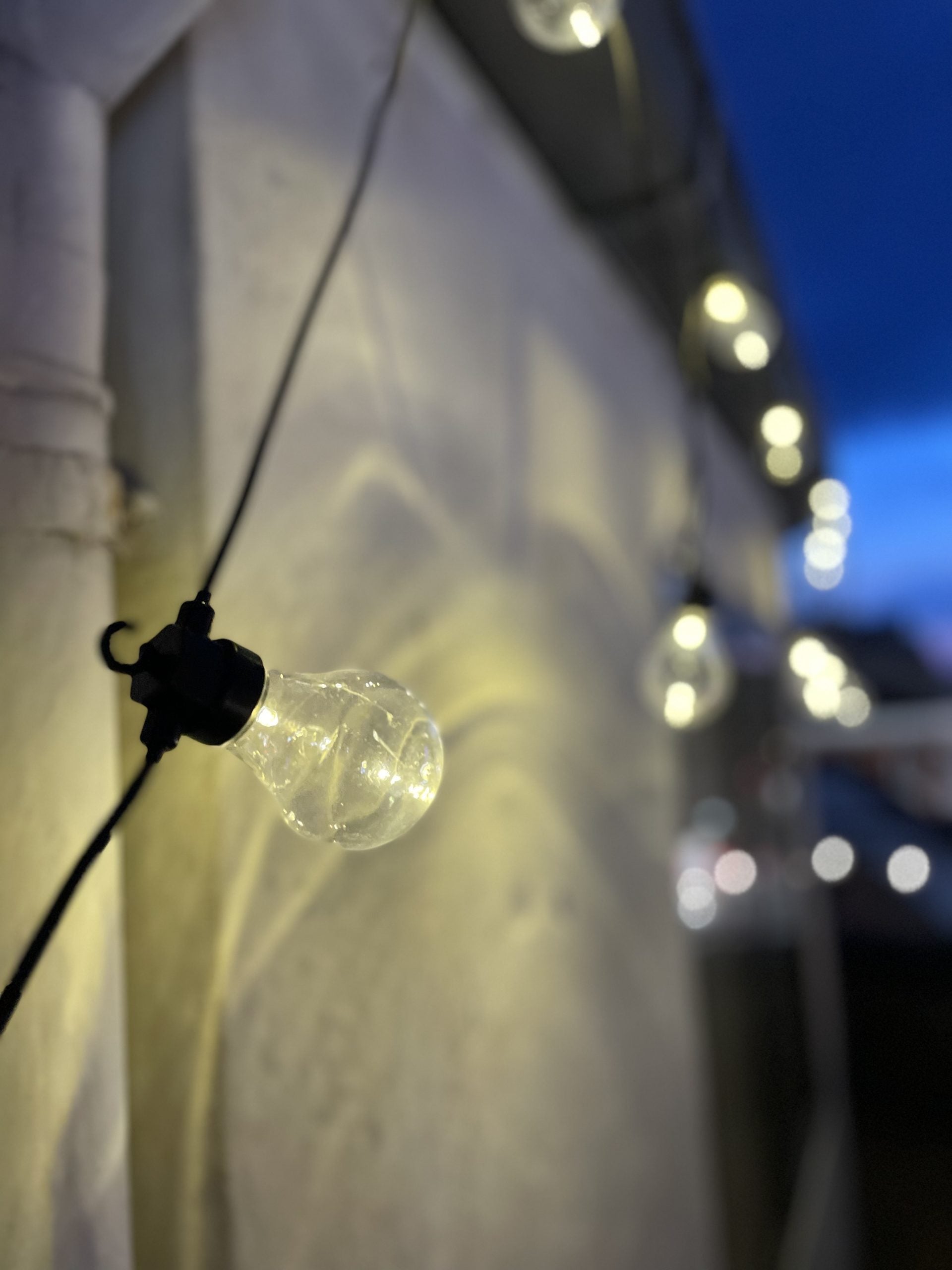 Julia LED light chain 10 clear bulbs 4.5 m – LED-nordic.com