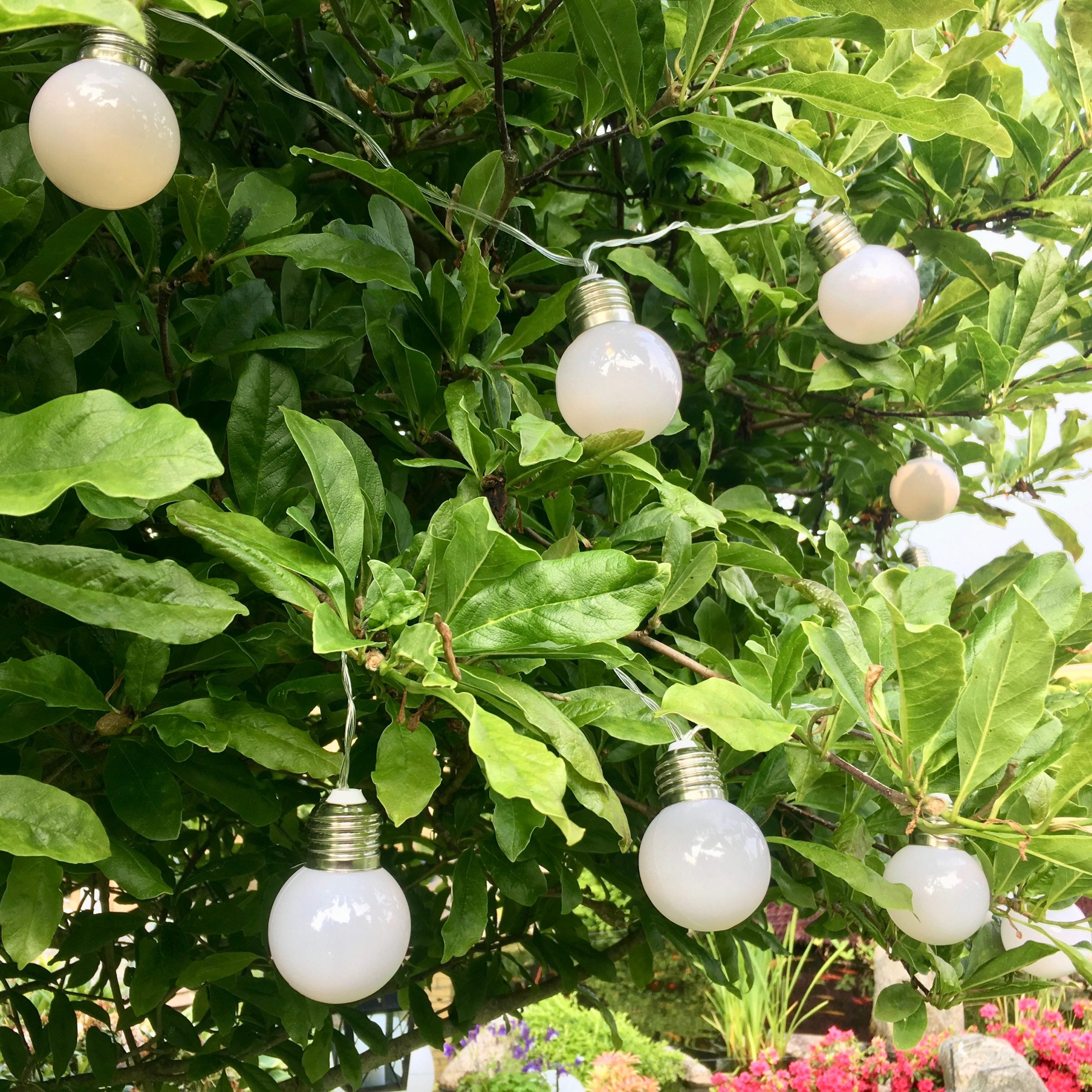 Carla LED light chain 10 white bulbs 3 m – LED-nordic.com